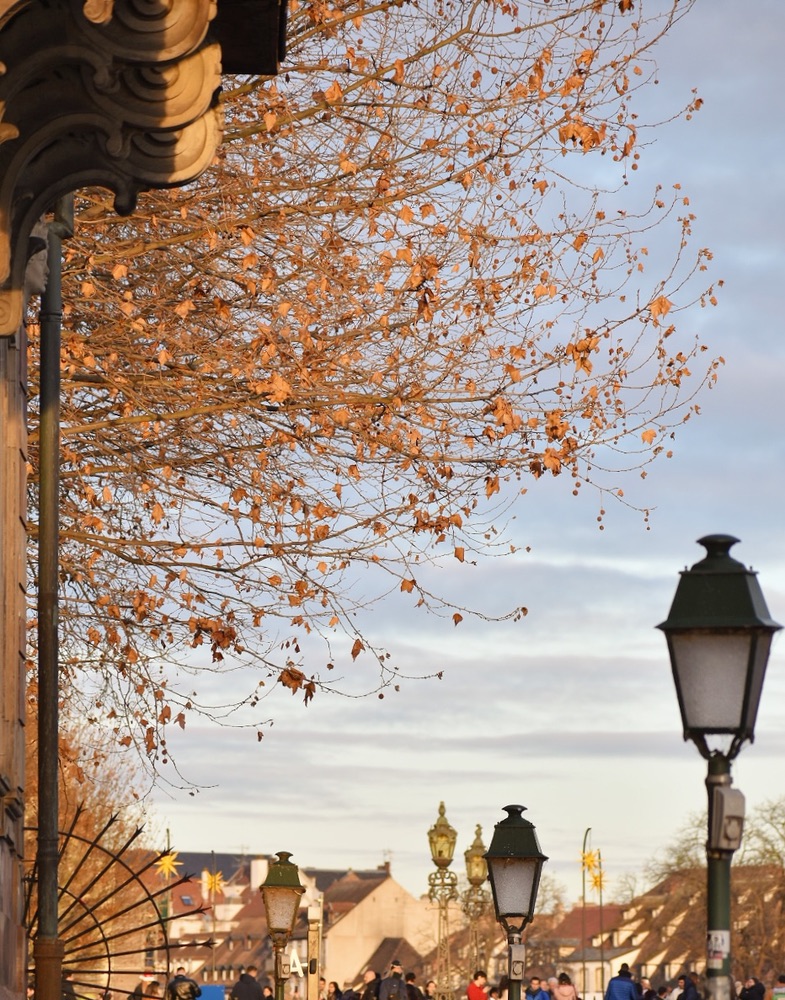 Strasbourg · Promenade d'automne