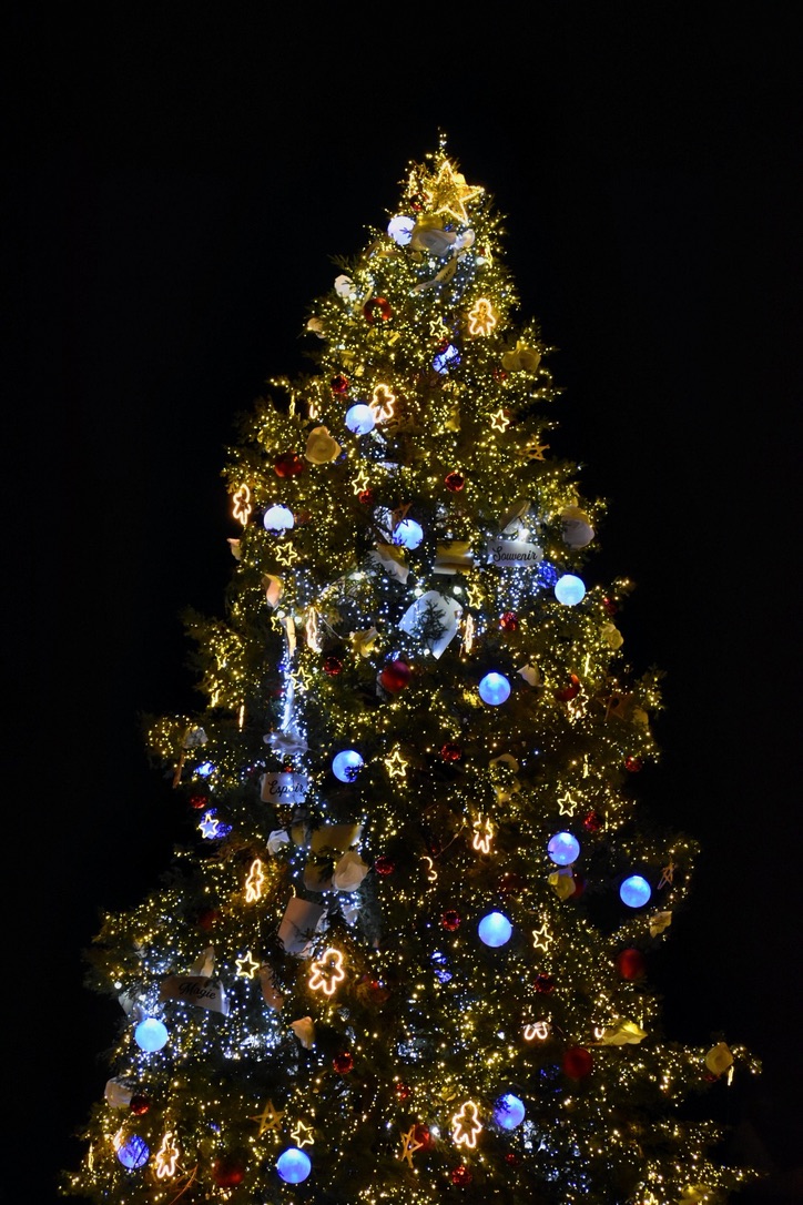 Strasbourg · Arbre de Noël illuminé