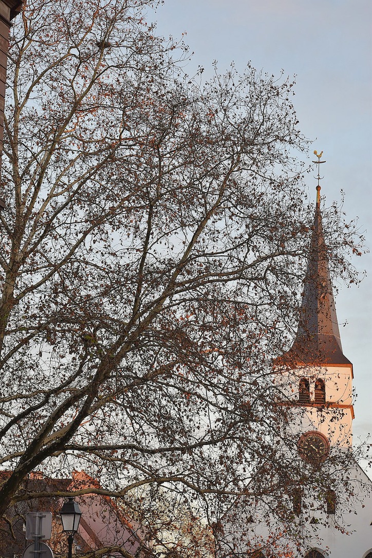 Strasbourg · Clocher d'hiver