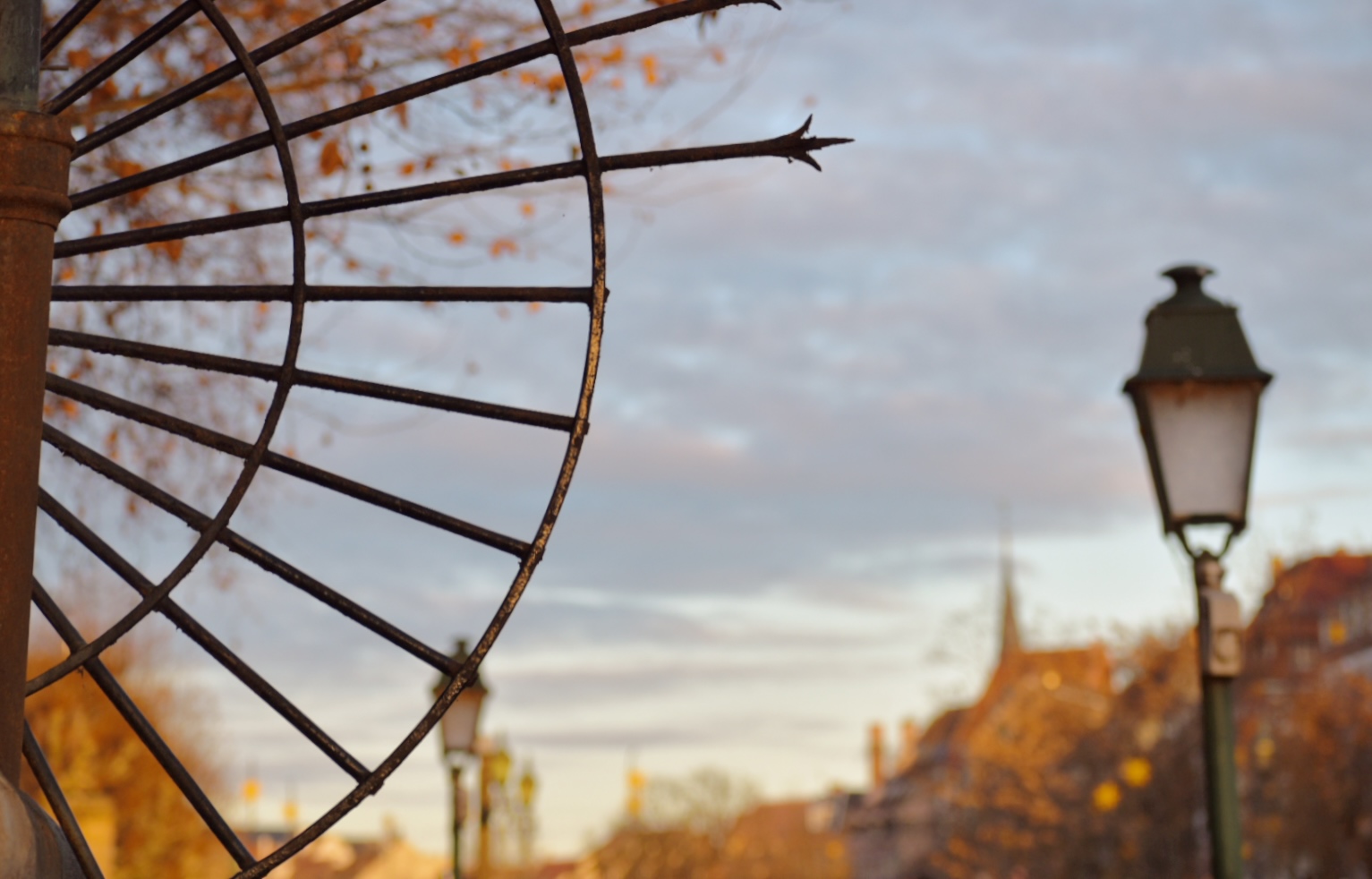 Strasbourg · Détail en fer forgé